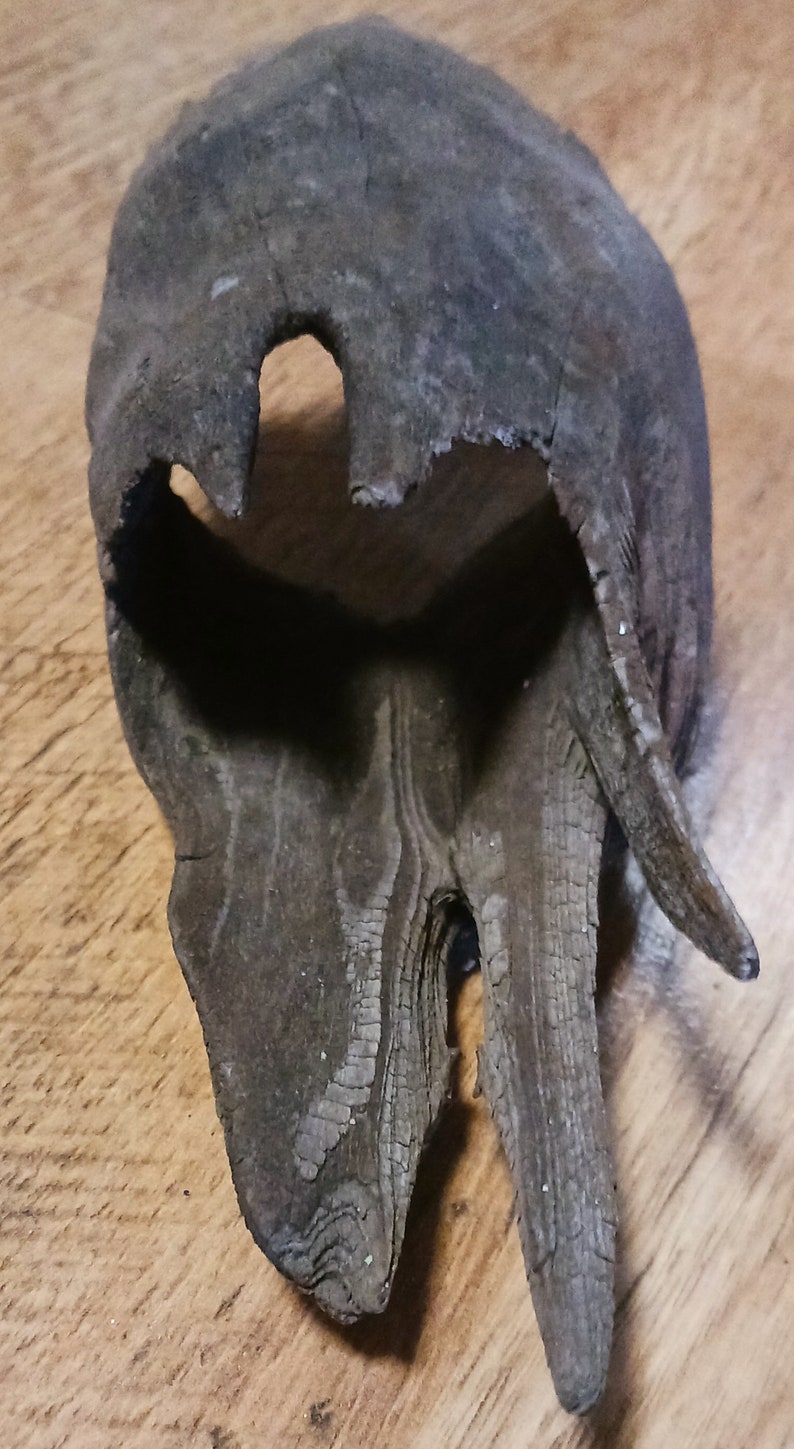 May include: A dark gray, weathered piece of driftwood with a large hole in the center and a long, thin branch extending from the side.