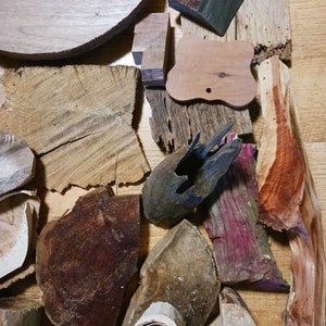 May include: Assortment of wood pieces in various shapes, sizes, and colors, including brown, red, black, and green. The wood pieces are arranged on a light brown surface.