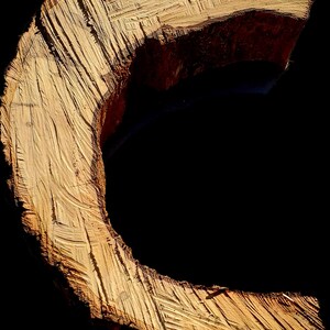 K&ouml;nnte beinhalten: Eine Nahaufnahme eines Holzstammes, der zu einem C geformt wurde. Das Holz ist hellbraun und hat eine raue Textur. Der Stamm ist vor einem schwarzen Hintergrund platziert.