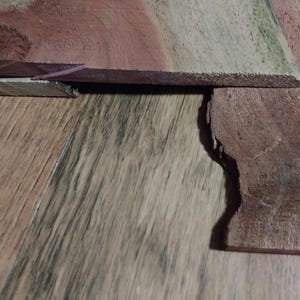 May include: Close-up of two pieces of unfinished wood. One piece is a reddish-brown color, and the other is a lighter brown with a hint of green. The wood grain is visible, and the edges are rough.