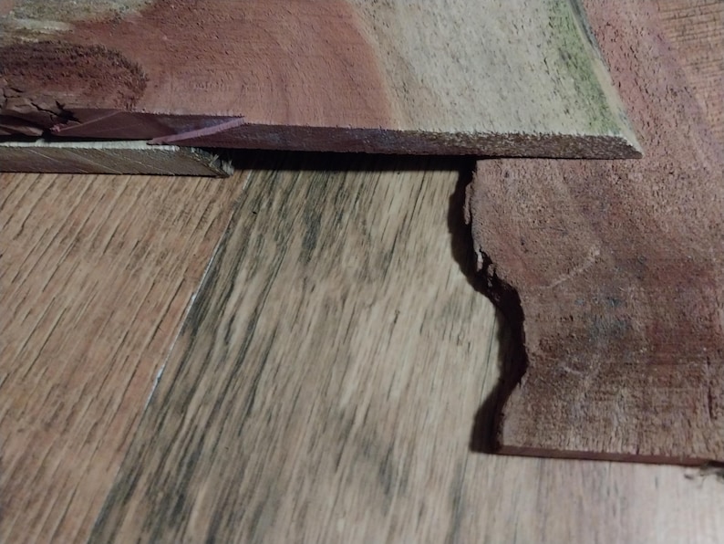 May include: Close-up of two pieces of unfinished wood. One piece is a reddish-brown color, and the other is a lighter brown with a hint of green. The wood grain is visible, and the edges are rough.