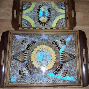 Vintage Brazilian Butterfly Wing Inlay Tray Set: Iridescent Blue Art