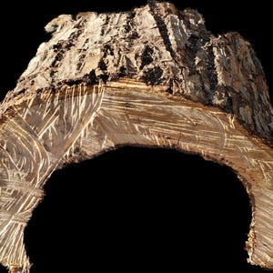 K&ouml;nnte beinhalten: Eine Nahaufnahme eines St&uuml;ckes Holz mit einer nat&uuml;rlichen braunen Rindenstruktur. Das Holz wurde in eine gebogene Form geschnitten, wodurch die Maserung und Textur des Holzes darunter sichtbar wird. Das Holz hat eine raue, unebene Oberfl&auml;che.