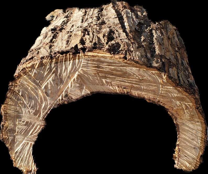 K&ouml;nnte beinhalten: Eine Nahaufnahme eines St&uuml;ckes Holz mit einer nat&uuml;rlichen braunen Rindenstruktur. Das Holz wurde in eine gebogene Form geschnitten, wodurch die Maserung und Textur des Holzes darunter sichtbar wird. Das Holz hat eine raue, unebene Oberfl&auml;che.