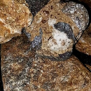 May include: Close-up of several textured stones in shades of brown, tan, and gray. Some stones have a speckled appearance, while others have a smoother, polished look. The image highlights the natural variations in color and texture.