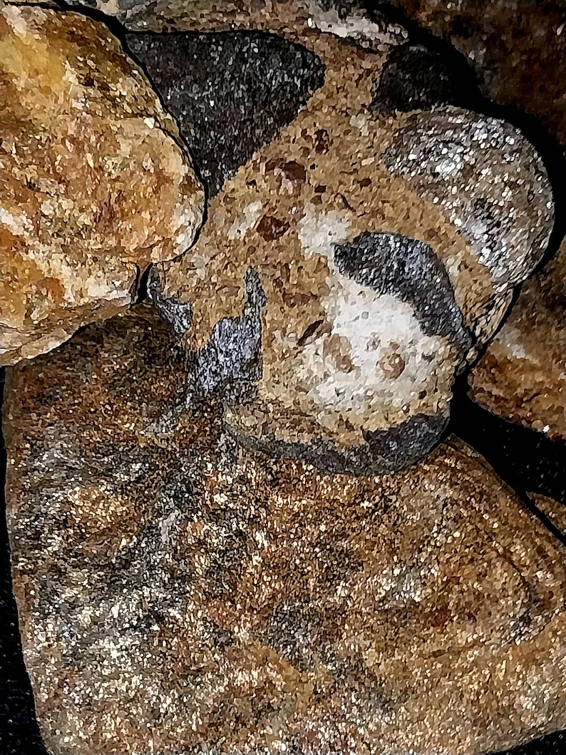 May include: Close-up of several textured stones in shades of brown, tan, and gray. Some stones have a speckled appearance, while others have a smoother, polished look. The image highlights the natural variations in color and texture.