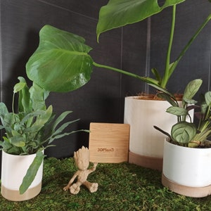 Pots de Fleurs Imprimés en 3D - 3 Tailles Disponibles, Vendu à l'Unité, Sans Plantes, Design Moderne