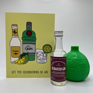 Let the Celebrations Be Gin | Birthday Card | Handmade Eco Friendly Greeting Card | Cute Funny Punny Greeting Card | Shop Write On