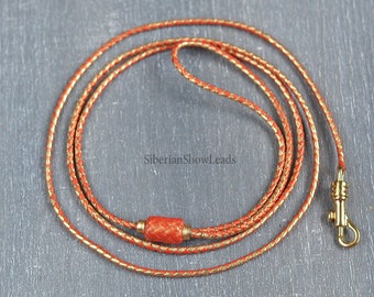 Handmade Luxury Soft Nappa Leather Dog Show Lead & Collar Set - Lilac / Purple (Made In France)