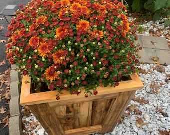 Wooden planter box