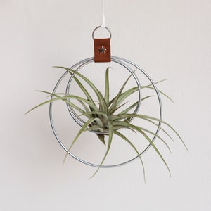 Air Plant Hanger, Minimalist Circular Air Plant Holder, Hoop hanger, Hanging Planter, Gift for Plant Lover, Display for Airplant zdjęcie 1