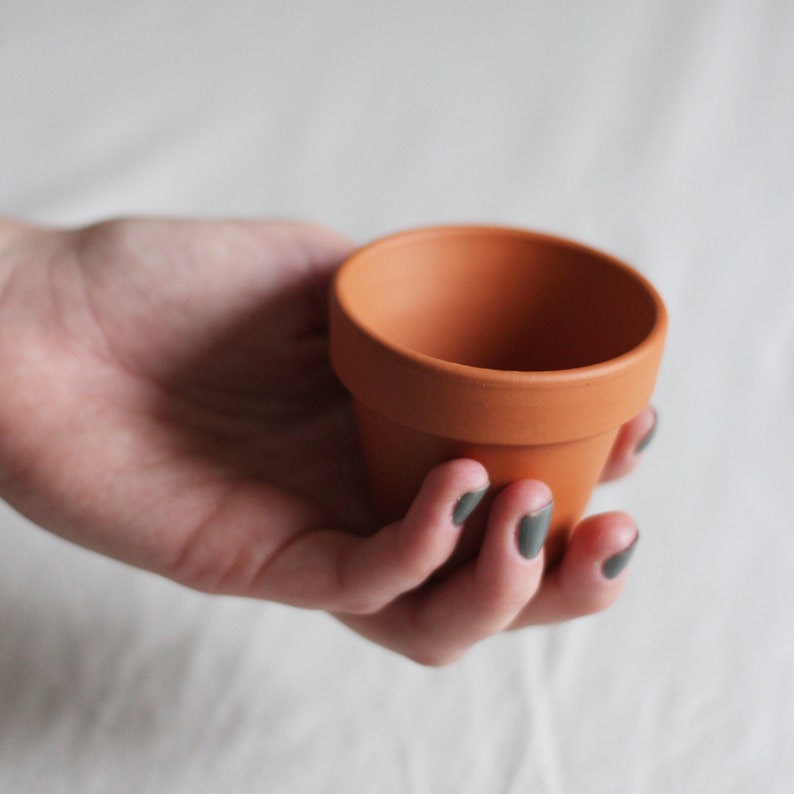Mini Terracotta Pot for Baby Plants with drainage hole, indoor terracotta planter, Gift for Plantlover image 5