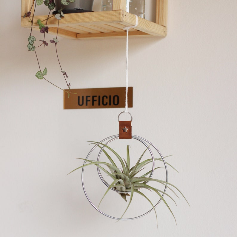 Air Plant Hanger, Minimalist Circular Air Plant Holder, Hoop hanger, Hanging Planter, Gift for Plant Lover, Display for Airplant zdjęcie 2