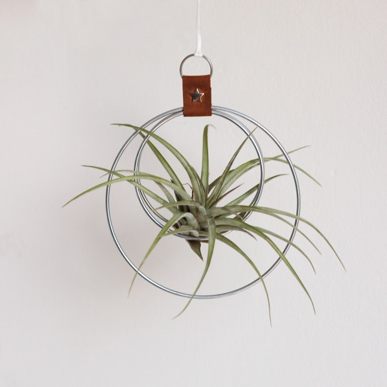 Air Plant Hanger, Minimalist Circular Air Plant Holder, Hoop hanger, Hanging Planter, Gift for Plant Lover, Display for Airplant zdjęcie 1