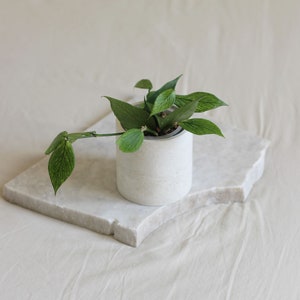 Concrete Indoor Planter for Plants up to 7 cm, With or Without drainage, Scandi decor Planter for Plant Lover, Cachepot image 1