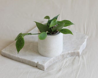 Jardinière d'intérieur en béton pour plantes jusqu'à 7 cm, avec ou sans drainage, jardinière décorative Scandi pour amateur de plantes, cache-pot