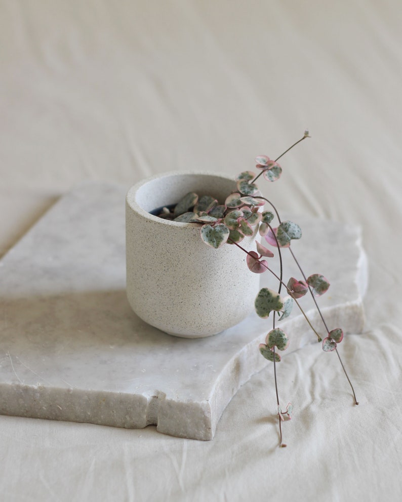 Small Concrete Tulip Planter, Baby Plant Pot, 6cm, Optional Drainage, Modern Scandi Decor, Cachepot image 1