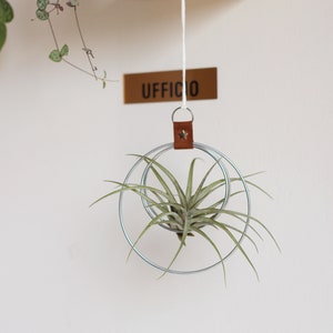 Air Plant Hanger, Minimalist Circular Air Plant Holder, Hoop hanger, Hanging Planter, Gift for Plant Lover, Display for Airplant zdjęcie 7