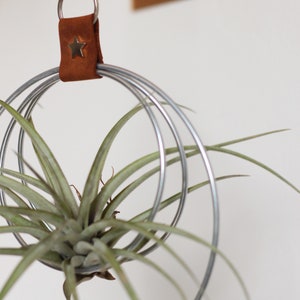 Air Plant Hanger, Minimalist Circular Air Plant Holder, Hoop hanger, Hanging Planter, Gift for Plant Lover, Display for Airplant zdjęcie 5