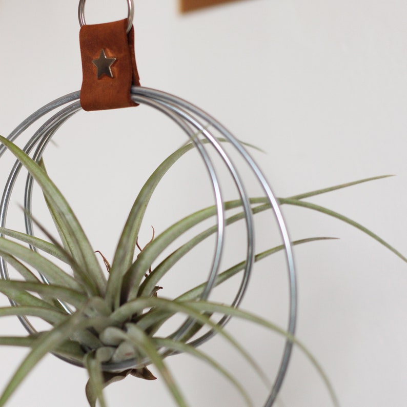 Air Plant Hanger, Minimalist Circular Air Plant Holder, Hoop hanger, Hanging Planter, Gift for Plant Lover, Display for Airplant zdjęcie 5