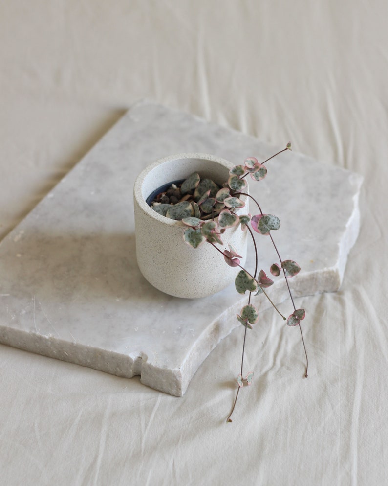 Small Concrete Tulip Planter, Baby Plant Pot, 6cm, Optional Drainage, Modern Scandi Decor, Cachepot image 3