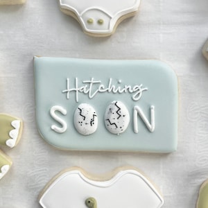 Könnte beinhalten: Ein rechteckiger Keks mit hellblauem Zuckerguss und dem weißen Schriftzug Hatching SOON, bei dem die beiden Buchstaben O durch weiße, gesprenkelte Eier mit schwarzen Rissdetails ersetzt sind, umgeben von weiteren Keksen auf Backpapier.
