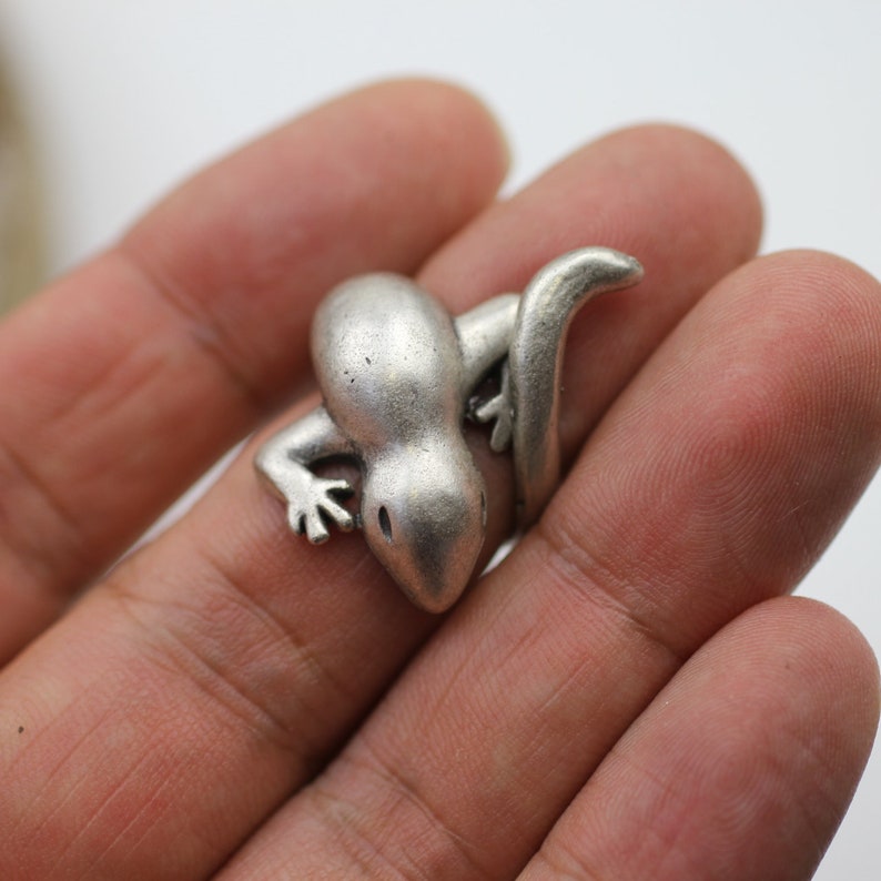 May include: A silver-toned metal lizard charm with a detailed design. The lizard is curled up with its tail wrapped around its body.