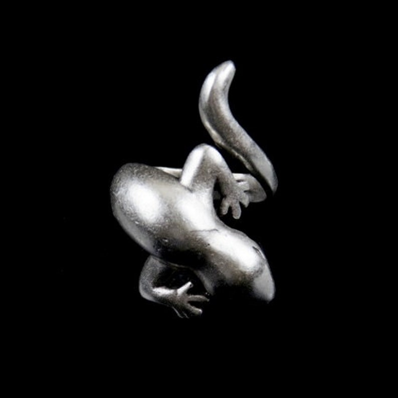 May include: A silver-colored ring shaped like a lizard with its tail curled around its body.