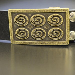 May include: A brown leather belt with a brass buckle featuring six gold spiral designs.