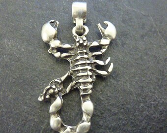 Zilveren schorpioenhanger, schorpioenketting ambacht, dierenketting, gotische hanger, schorpioensieraden, herensieraden, damesketting, P87