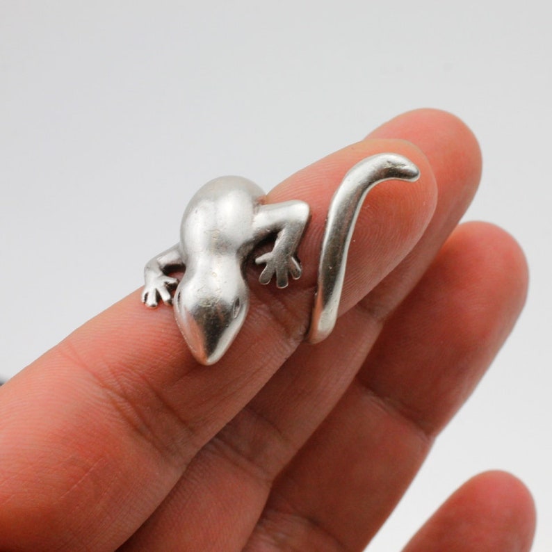 May include: A silver lizard ring with a curled tail. The ring is worn on a finger.