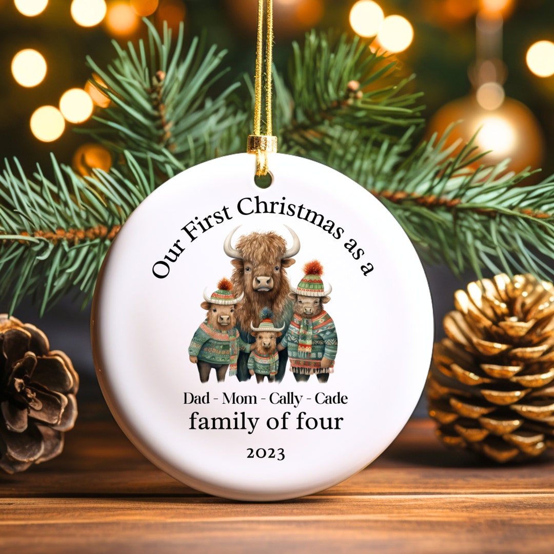 Personalized Family of Four Ornament, Personal Family Ornament, Customized Baby's 1st Christmas
