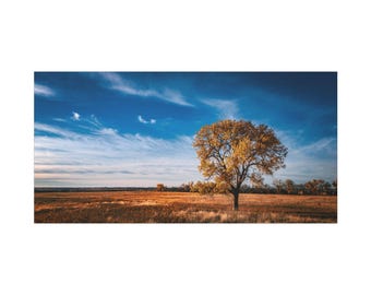 Colorful Tree in Fall Large Canvas wall art Nebraska Landscape gift for Anyone