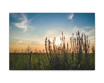 Arte de pared con impresión en lienzo de pasto de granja al atardecer para decoración de la oficina en el hogar, diseños de arte de cocina de granja para decorar la imagen del atardecer con flores silvestres