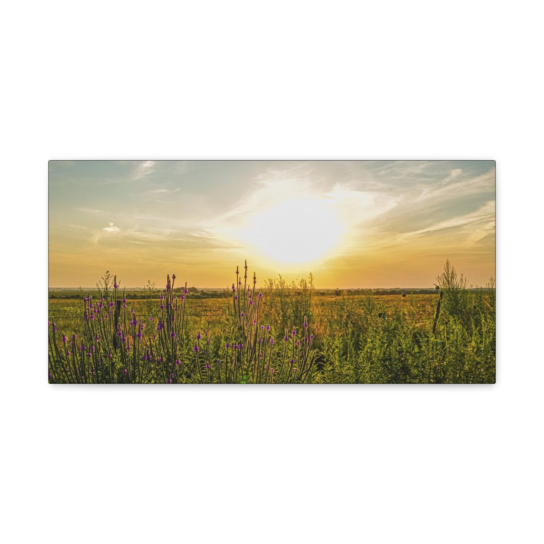 Beautiful Picture of Sunset Canvas Print Farm Pictures of Wildflowers