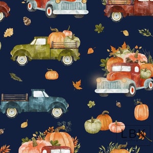 A Pumpkin Fall truck Canopy UV50+ | W4 Wonderfold Canopy | W2 wonderfold canopy | wonderfold accessories