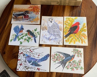 Vintage birds greeting cards set of seven 7