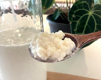 Live Milk Kefir Grains |  1 Tablespoon | Cultured in Organic whole milk