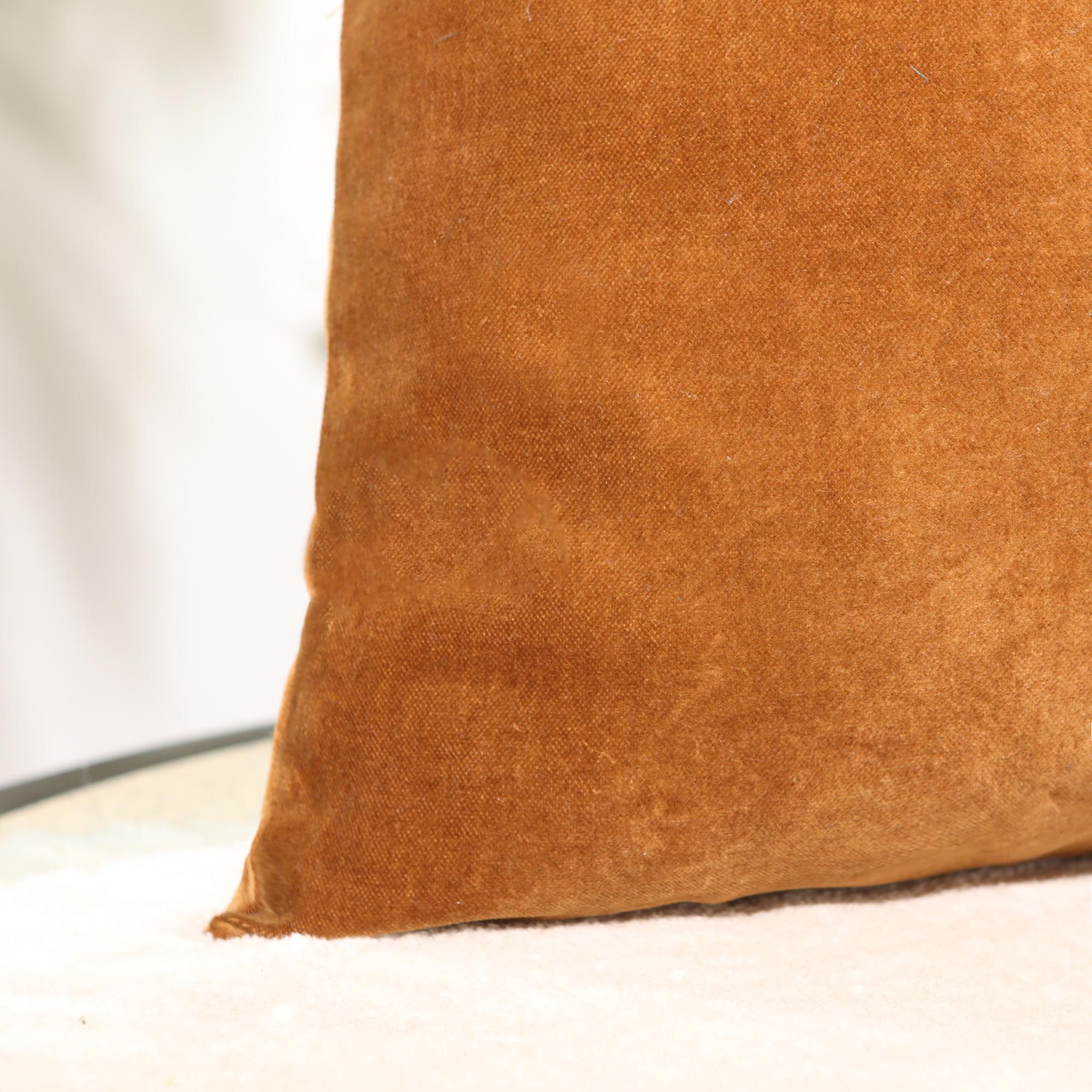 Camel velvet pillow hotsell