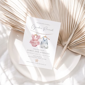 May include: A gender reveal invitation with a watercolor illustration of a pink and blue baby outfit hanging on a clothesline. The invitation reads "Please join us for a Gender Reveal" in honor of parents-to-be James and Romana. The event is scheduled for Saturday, July 1st, 2023 at 3 PM at 1694 Garden Roses, Denver, Colorado. RSVP to [email protected] by July 1st.