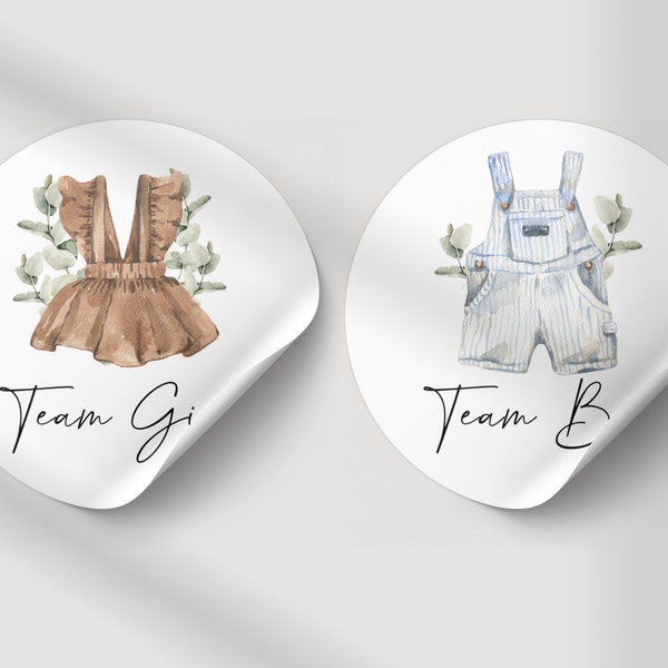 Boho Gender Reveal Stickers, Team Boy Team Girl, Bewerkbare Gender Reveal Sticker Template, Groen Babykleding Gender Revea, Neutrale Baby