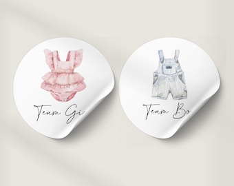 Gender Reveal Stickers, Boho Rustic Romper Baby Clothes Gender Reveal, Team Boy or Team Girl Stickers, He Or She, Baby Boy Or Girl Game