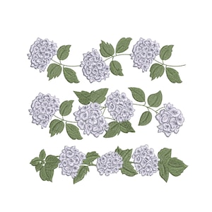 Conjunto de diseños de bordado a máquina con borde de hortensias, descarga instantánea en formato Zip - 6 tamaños