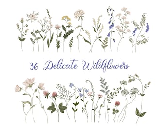 36 Wild Flower Machine Embroidery Design Pattern Instant Download Zip - 6 sizes
