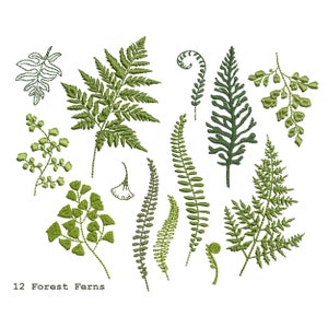 12 Fern Branches for Machine Embroidery Design Botanical Wedding Branch Pattern Instant Download Zip - 6 sizes
