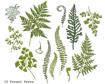 12 Fern Branches for Machine Embroidery Design Botanical Wedding Branch Pattern Instant Download Zip - 6 sizes