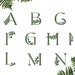 Unique Fern Font Alphabet Monogram Machine Embroidery Design, Script ...