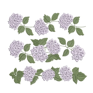 Hydrangea Border Machine Embroidery Design Set, Garden Flower Pattern Instant Download Zip - 6 sizes