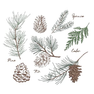 Pine Branch and Cone Machine Embroidery Design Bundle, Botanical Christmas Fir Spruce Pattern Instant Download Zip - 5 sizes