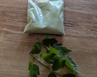 Liebstöckel oder Maggysalz 60 gr.Ernte 26